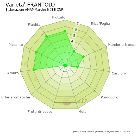 Varietà Frantoio Olio Spanò | Olio Extra Vergine Biologico Artigianale 100% Italiano