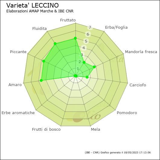 Varietà Leccino Olio Spanò | Olio Extra Vergine Biologico Artigianale 100% Italiano
