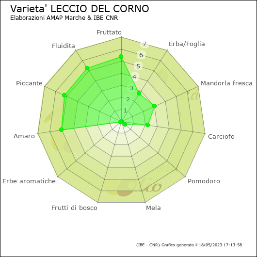 Varietà Lecco del Corno Olio Spanò | Olio Extra Vergine Biologico Artigianale 100% Italiano