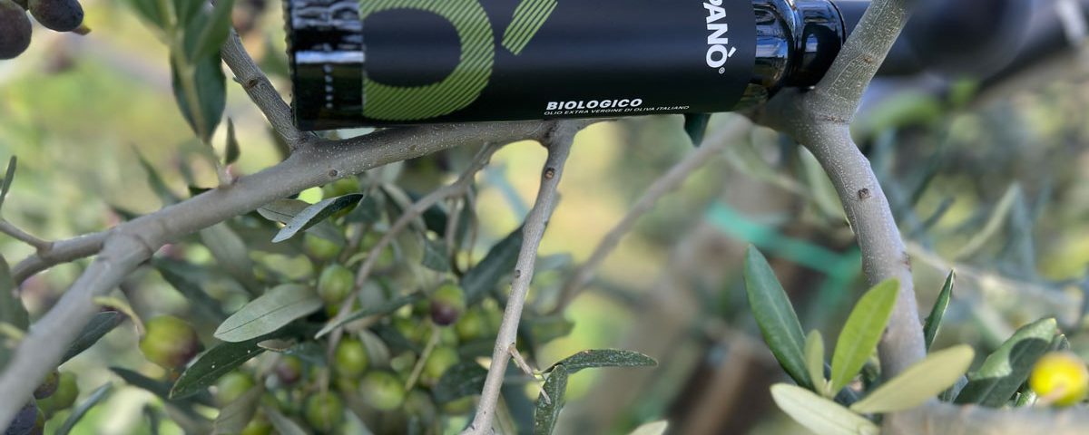 Olio Spanò | Olio Extra Vergine Biologico Artigianale 100% Italiano