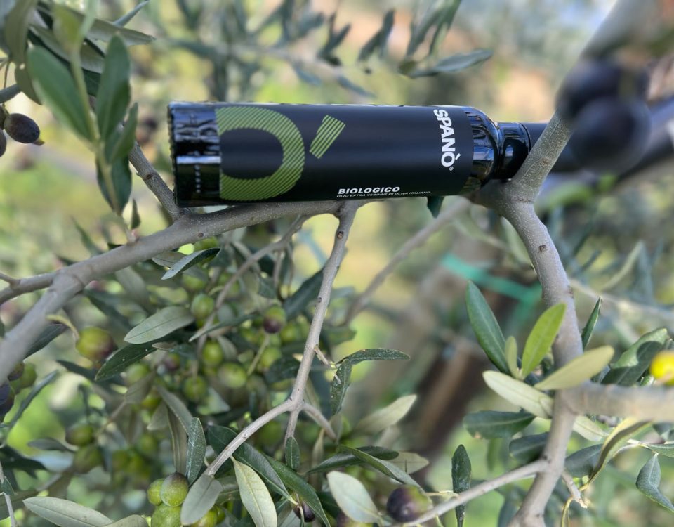 Olio Spanò | Olio Extra Vergine Biologico Artigianale 100% Italiano