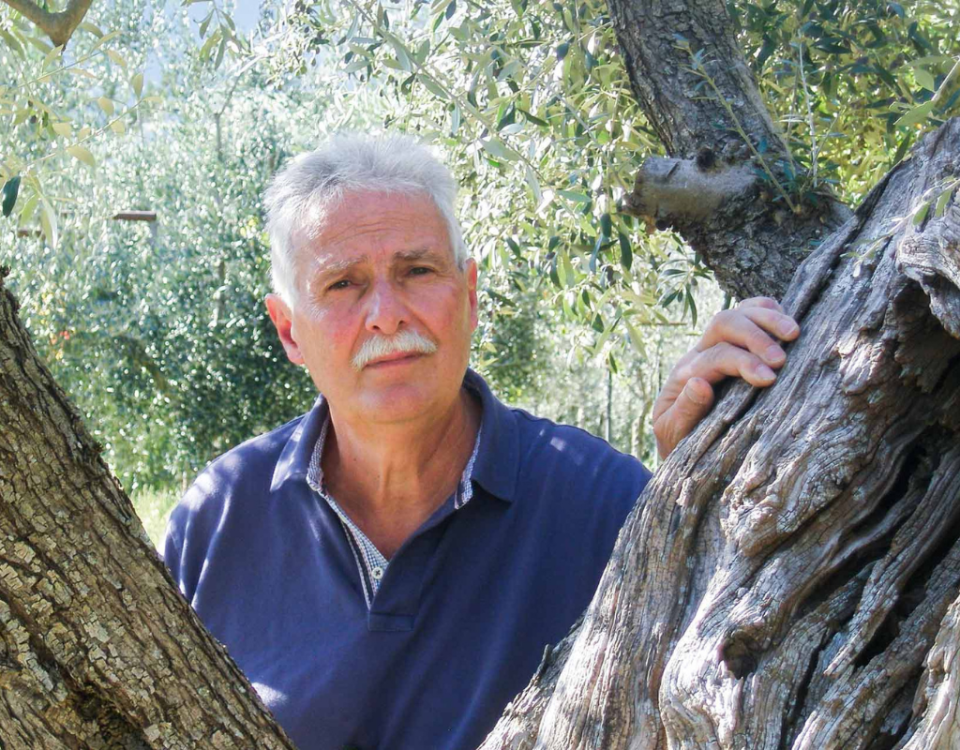 Giorgio Pannelli